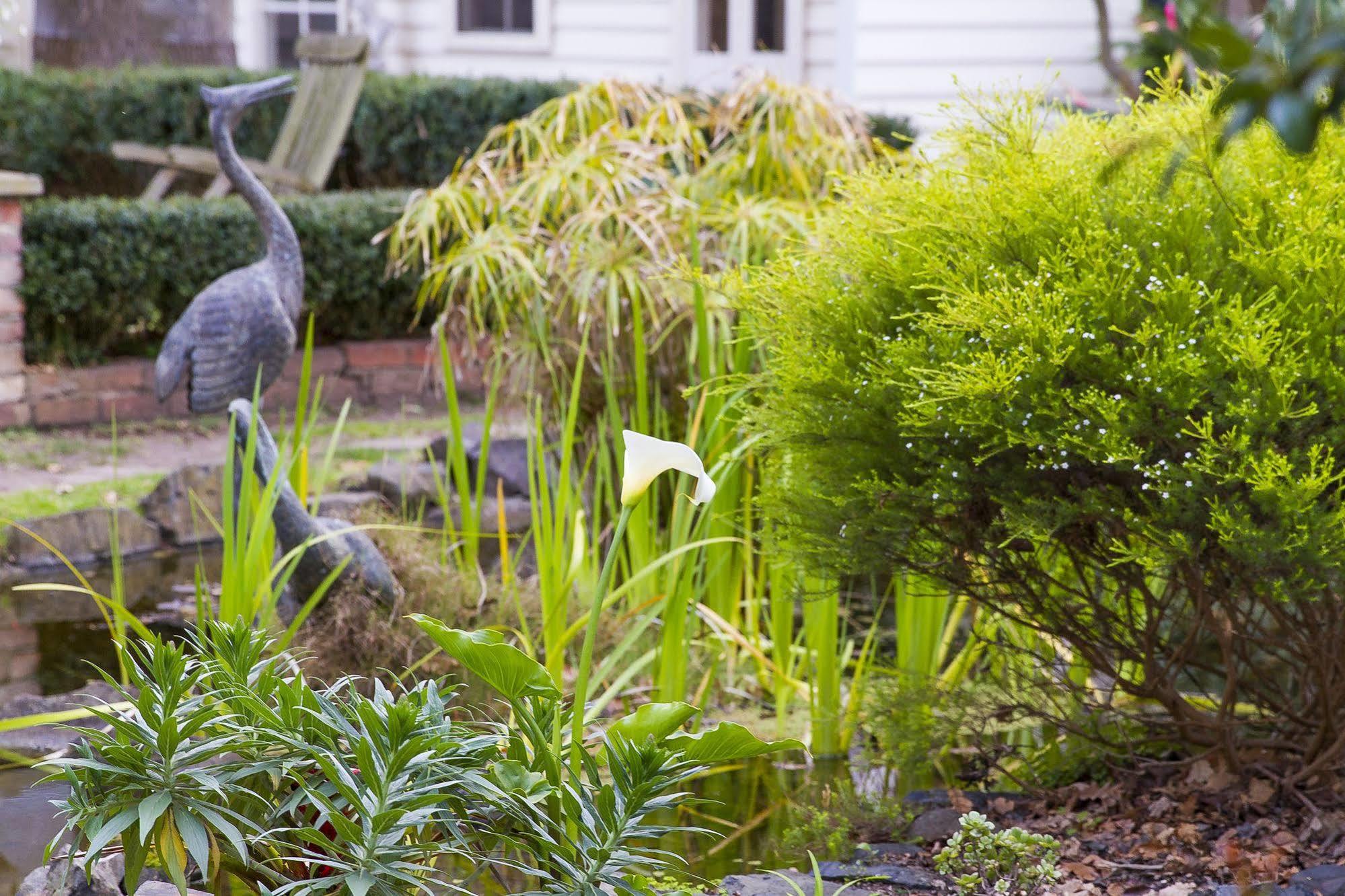 Glen Isla House Bed & Breakfast Phillip Island Cowes Exterior photo